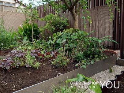既存の植物を生かしナチュラルな和風庭園に