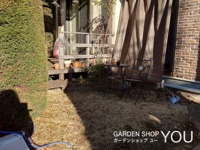 【施工前】芝が上手く育ちません。